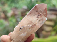 Natural Red Hematoid Quartz Crystals x 35 From Karoi, Zimbabwe