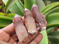 Natural Red Hematoid Quartz Crystals x 35 From Karoi, Zimbabwe