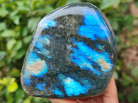 Polished Labradorite Standing Free Forms x 3 From Tulear, Madagascar