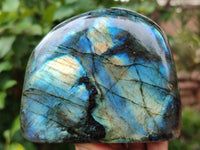 Polished Labradorite Standing Free Forms x 3 From Tulear, Madagascar