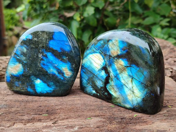 Polished Labradorite Standing Free Forms x 3 From Tulear, Madagascar