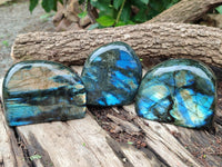 Polished Labradorite Standing Free Forms x 3 From Tulear, Madagascar