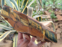 Polished On One Side Tiger's Eye Slabs x 2 From Prieska, South Africa