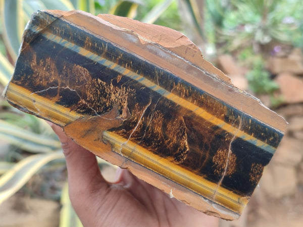 Natural Tigers Eye Specimens x 2 From Prieska, South Africa