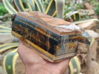 Polished On One Side Tiger's Eye Slabs x 2 From Prieska, South Africa