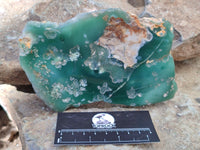 Polished On One Side Emerald Mtorolite Plates x 4 From Mutorashanga, Zimbabwe