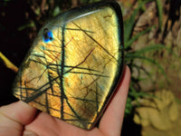 Polished Labradorite Standing Free Forms x 3 From Tulear, Madagascar