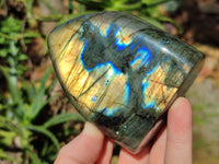 Polished Labradorite Standing Free Forms x 3 From Tulear, Madagascar