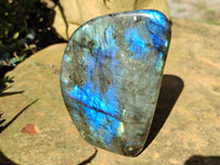 Polished Labradorite Standing Free Forms x 3 From Tulear, Madagascar