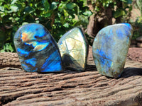 Polished Labradorite Standing Free Forms x 3 From Tulear, Madagascar