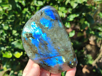 Polished Labradorite Standing Free Forms x 3 From Tulear, Madagascar