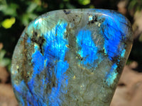 Polished Labradorite Standing Free Forms x 3 From Tulear, Madagascar