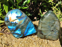 Polished Labradorite Standing Free Forms x 3 From Tulear, Madagascar