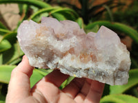 Natural Cactus Flower Spirit Quartz Cluster x 1 From Boekenhouthoek, South Africa