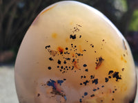 Polished Dendritic Agate Standing Free Forms x 2 From Madagascar