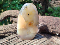 Polished Dendritic Agate Standing Free Forms x 2 From Madagascar