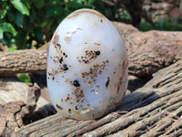 Polished Dendritic Agate Standing Free Forms x 2 From Madagascar