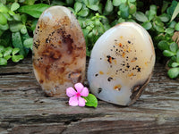 Polished Dendritic Agate Standing Free Forms x 2 From Madagascar