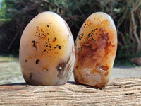 Polished Dendritic Agate Standing Free Forms x 2 From Madagascar