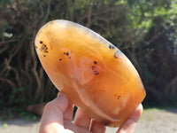 Polished Dendritic Agate Standing Free Forms x 2 From Madagascar