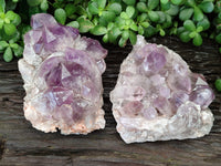 Natural Jacaranda Amethyst Quartz Clusters x 2 from Mumbwa, Zambia