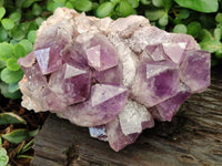 Natural Jacaranda Amethyst Quartz Clusters x 2 from Mumbwa, Zambia