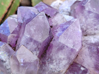 Natural Jacaranda Amethyst Quartz Clusters x 2 from Mumbwa, Zambia