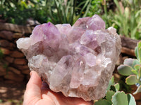 Natural Jacaranda Amethyst Quartz Clusters x 2 from Mumbwa, Zambia