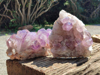 Natural Jacaranda Amethyst Quartz Clusters x 2 from Mumbwa, Zambia