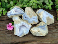 Polished Blue Lace Agate Geodes x 5 From Nsanje, Malawi