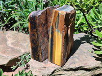 Polished On One Side Tiger's Eye Slabs x 2 From Prieska, South Africa