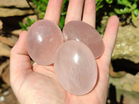 Polished Rose Quartz Palm Stones x 20 From Ambatondrazaka, Madagascar