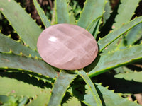 Polished Rose Quartz Palm Stones x 20 From Ambatondrazaka, Madagascar