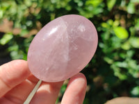 Polished Rose Quartz Palm Stones x 20 From Ambatondrazaka, Madagascar