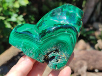 Polished Flower Banded Malachite Free Forms x 2 From Congo