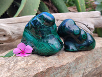 Polished Flower Banded Malachite Free Forms x 2 From Congo