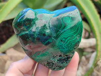 Polished Flower Banded Malachite Free Forms x 2 From Congo