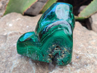 Polished Flower Banded Malachite Free Forms x 2 From Congo