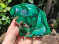 Polished Flower Banded Malachite Free Forms x 2 From Congo