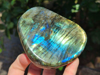 Polished Labradorite Standing Free Forms x 3 From Tulear, Madagascar