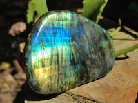 Polished Labradorite Standing Free Forms x 3 From Tulear, Madagascar