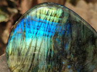 Polished Labradorite Standing Free Forms x 3 From Tulear, Madagascar