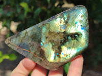 Polished Labradorite Standing Free Forms x 3 From Tulear, Madagascar