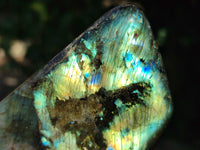 Polished Labradorite Standing Free Forms x 3 From Tulear, Madagascar