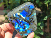 Polished Labradorite Standing Free Forms x 3 From Tulear, Madagascar