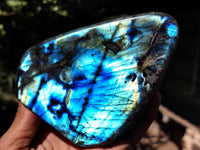 Polished Labradorite Standing Free Forms x 3 From Tulear, Madagascar