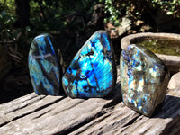 Polished Labradorite Standing Free Forms x 3 From Tulear, Madagascar