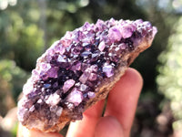 Natural Amethystos Amethyst Plates x 35 From Kwaggafontein, South Africa