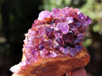 Natural Amethystos Amethyst Plates x 35 From Kwaggafontein, South Africa