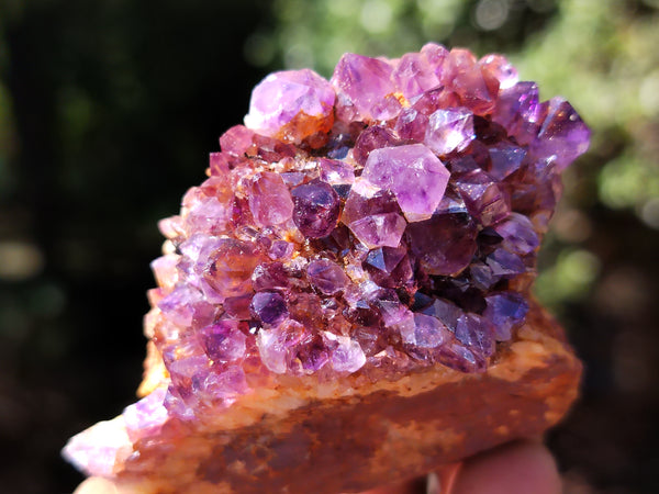 Natural Amethystos Amethyst Plates x 35 From Kwaggafontein, South Africa